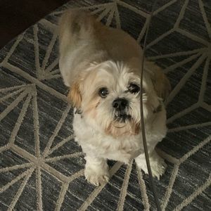 Meet your Posher, Kevin